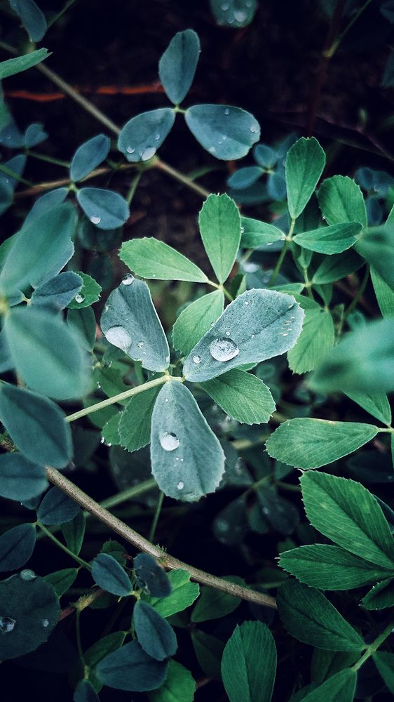 Фотография автора Ebrahim Rahiminezhad