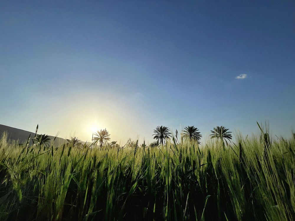 Фотография автора Ebrahim Rahiminezhad