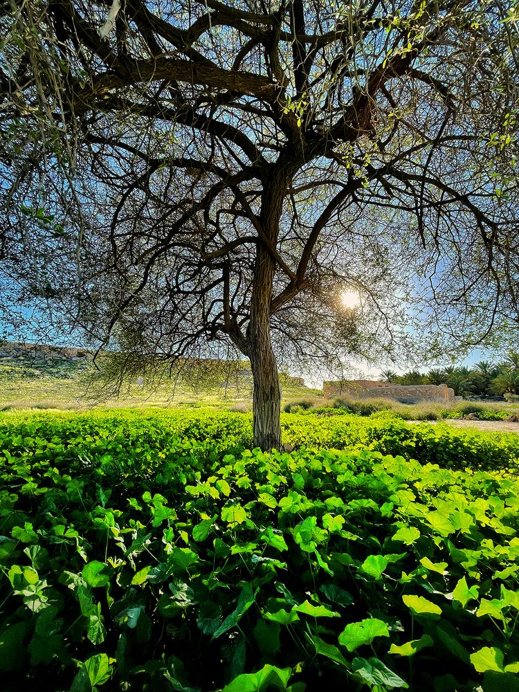 Фотография автора Ebrahim Rahiminezhad