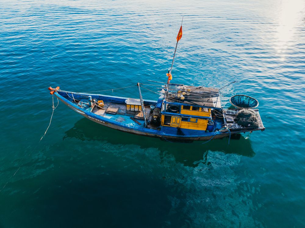 Фотография автора Nguyen Van Ngo