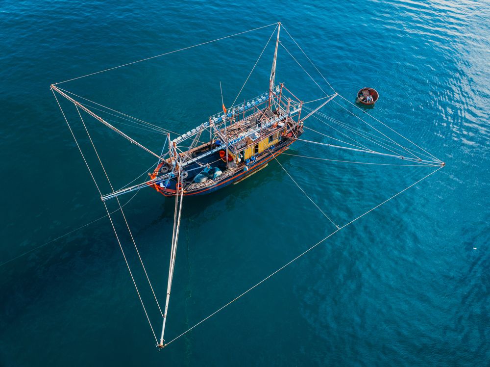 Фотография автора Nguyen Van Ngo