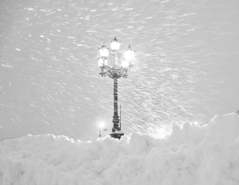 Photograph by Елена Жукова