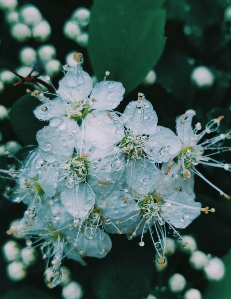 Photograph by Татьяна Гулакова