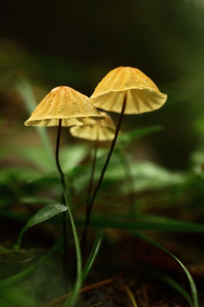 Photograph by Дмитрий Васючков