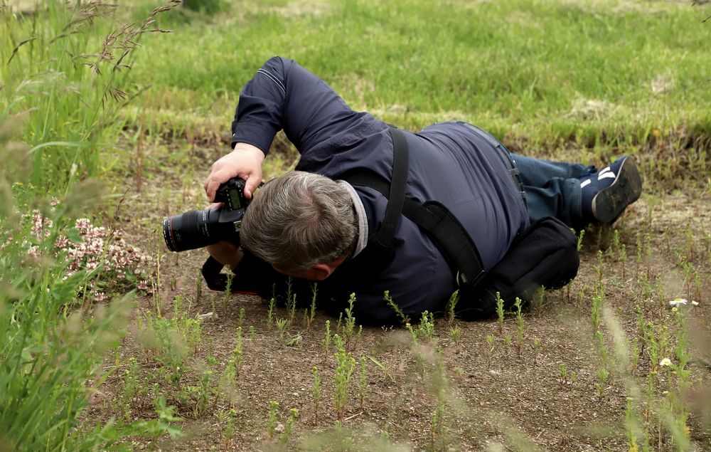 Photograph by елена