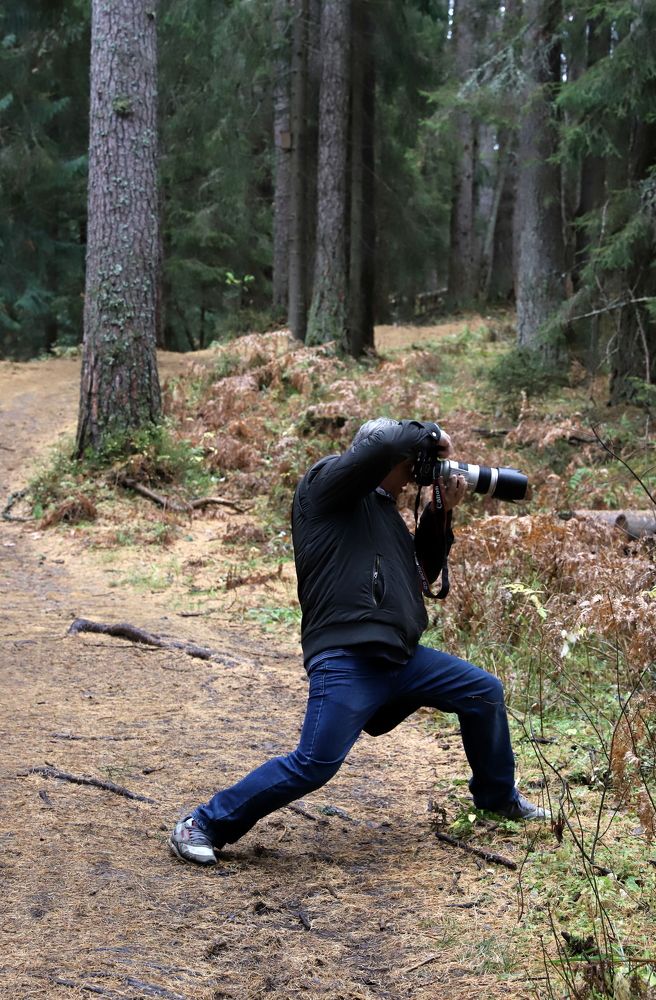 Photograph by елена