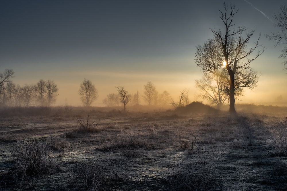 Photograph by Vasilev Roman