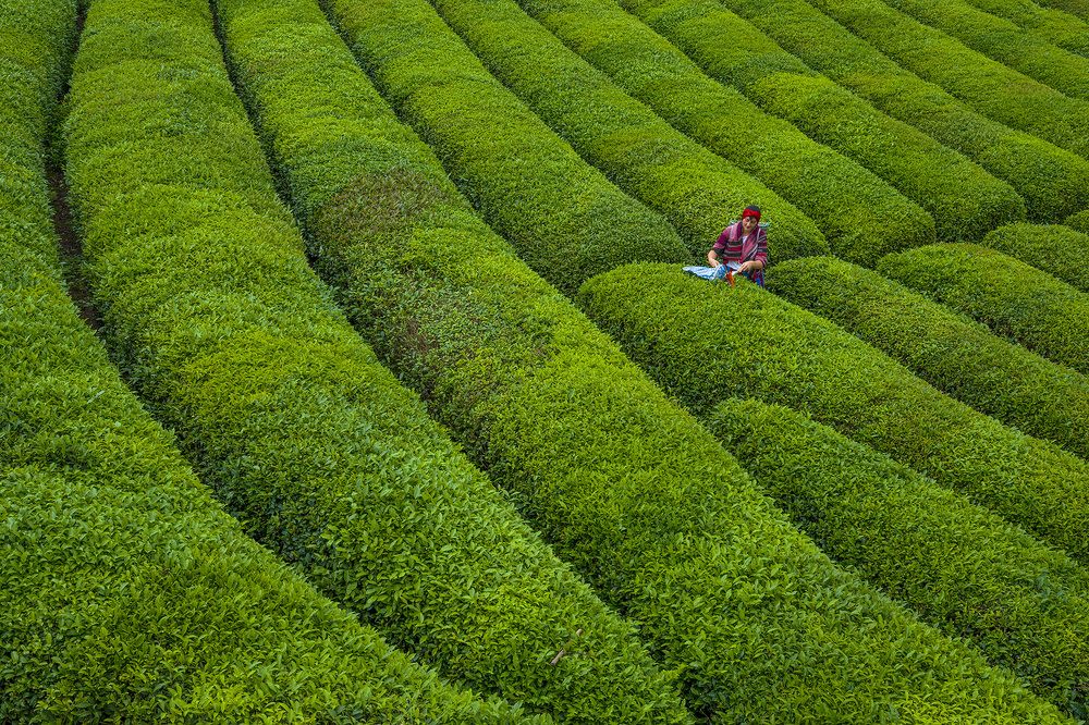 Photograph by Yilmaz Keles