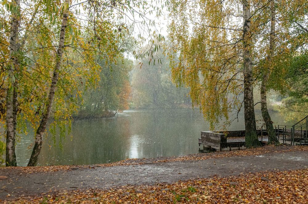 Photograph by Vladimir  Komarov