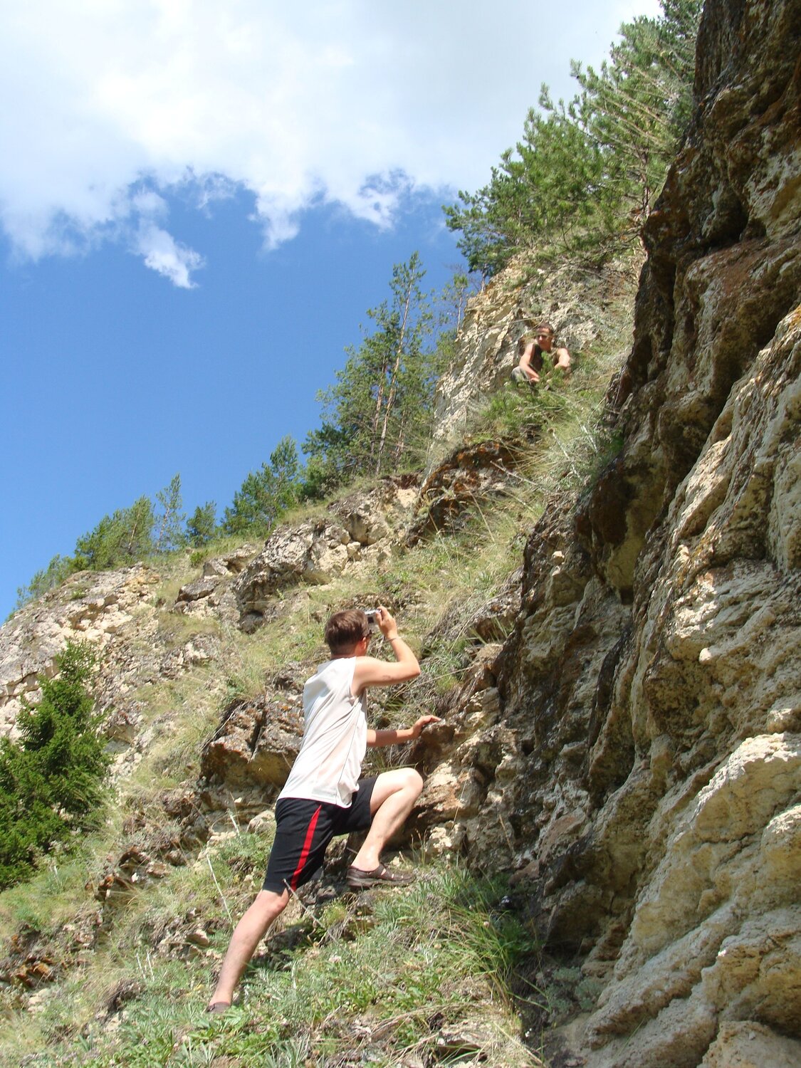 Photo #11392508