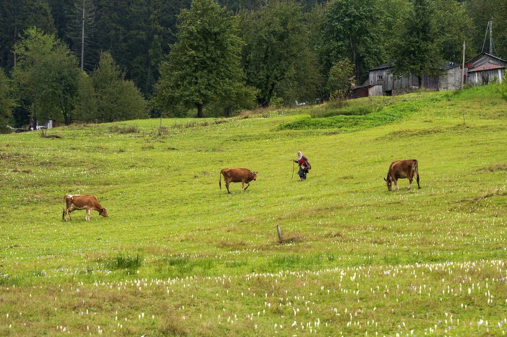 Photograph by Yilmaz Keles