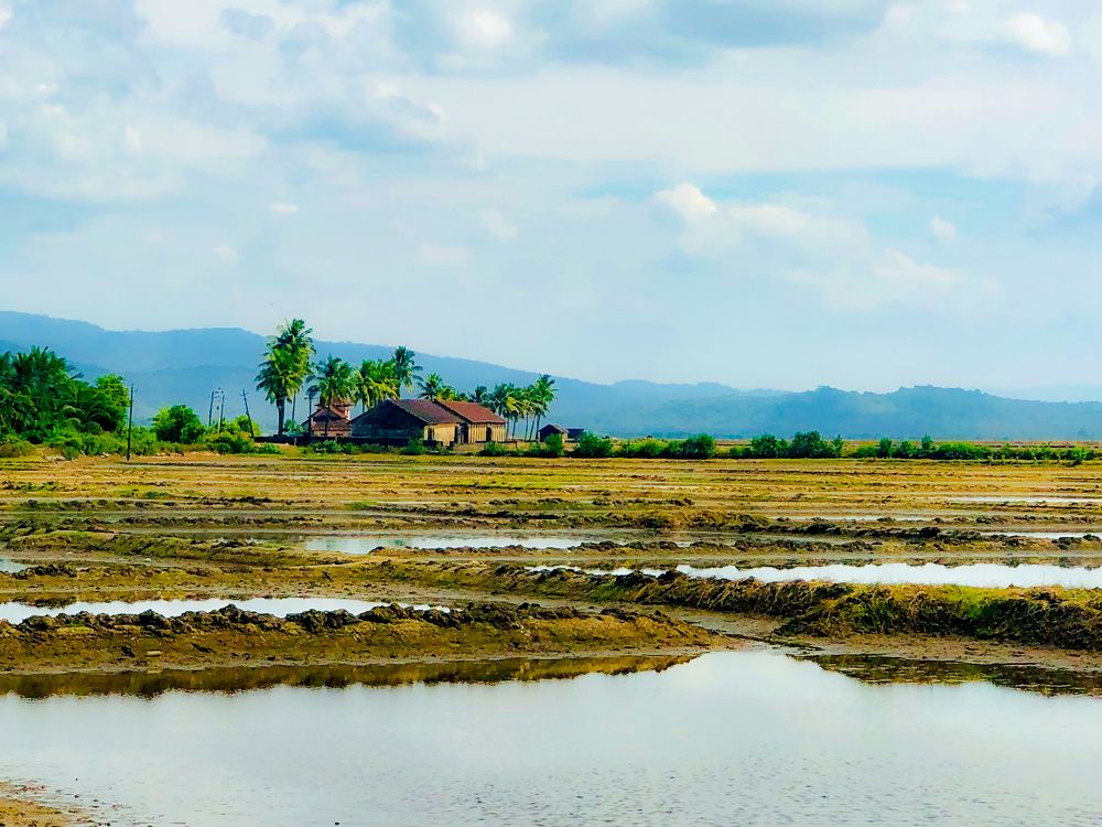 Photograph by Afthash Kodalam Pallath