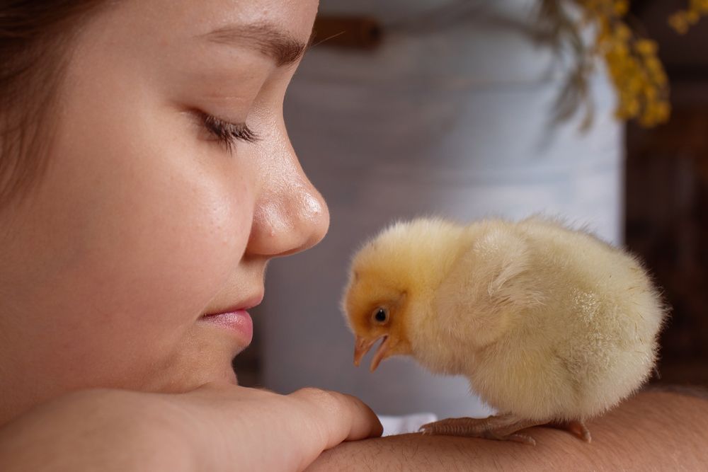 Photograph by Альфия Опарина