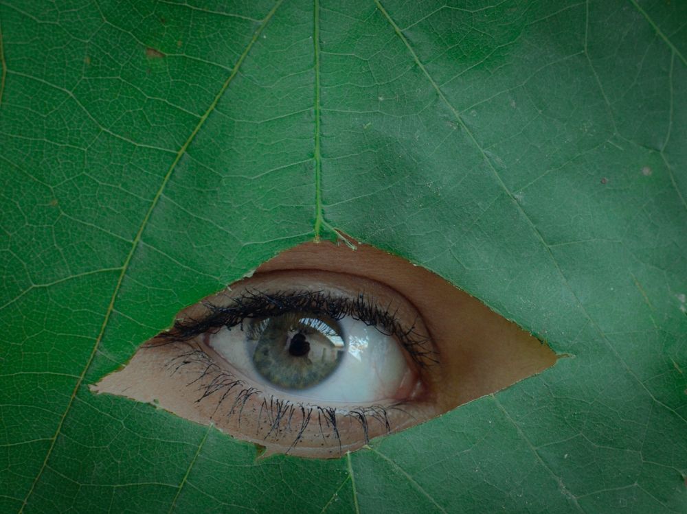 Photograph by Hakim Soualmia