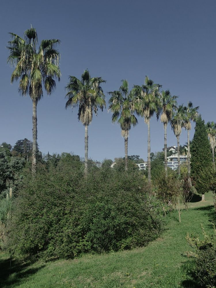 Photograph by Светлана Холодова