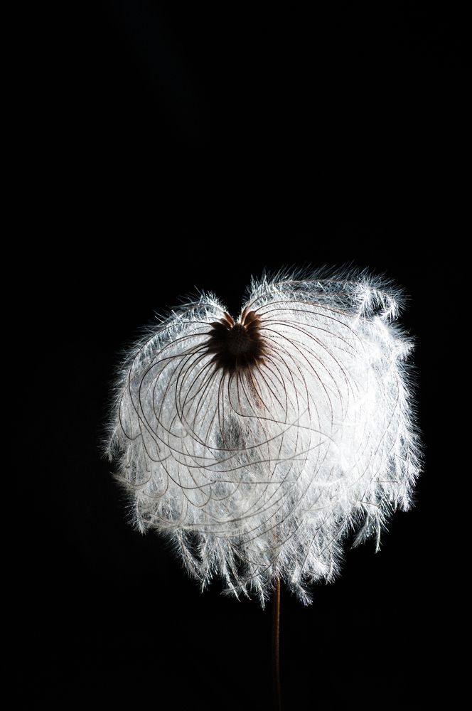 Photograph by Николай Захаров