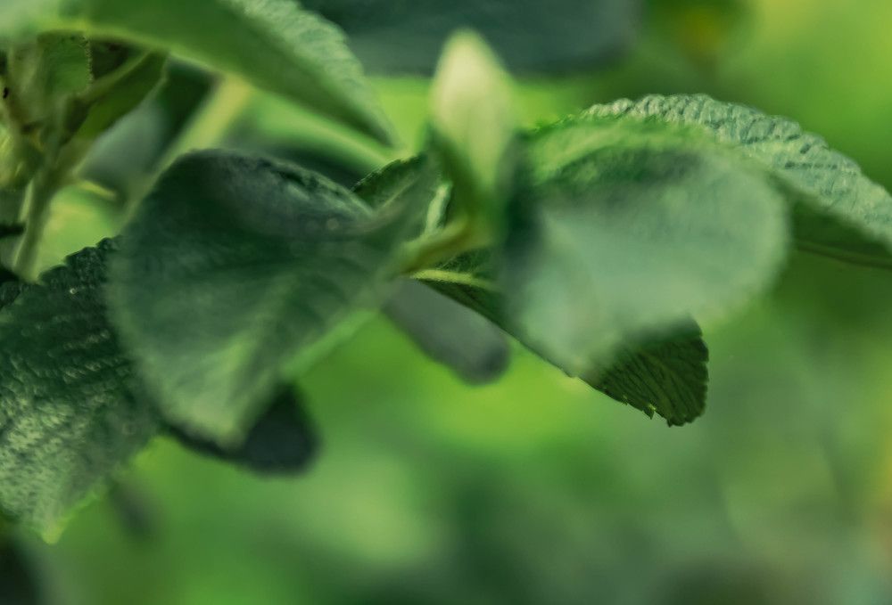 Photograph by Наталья Веряскина