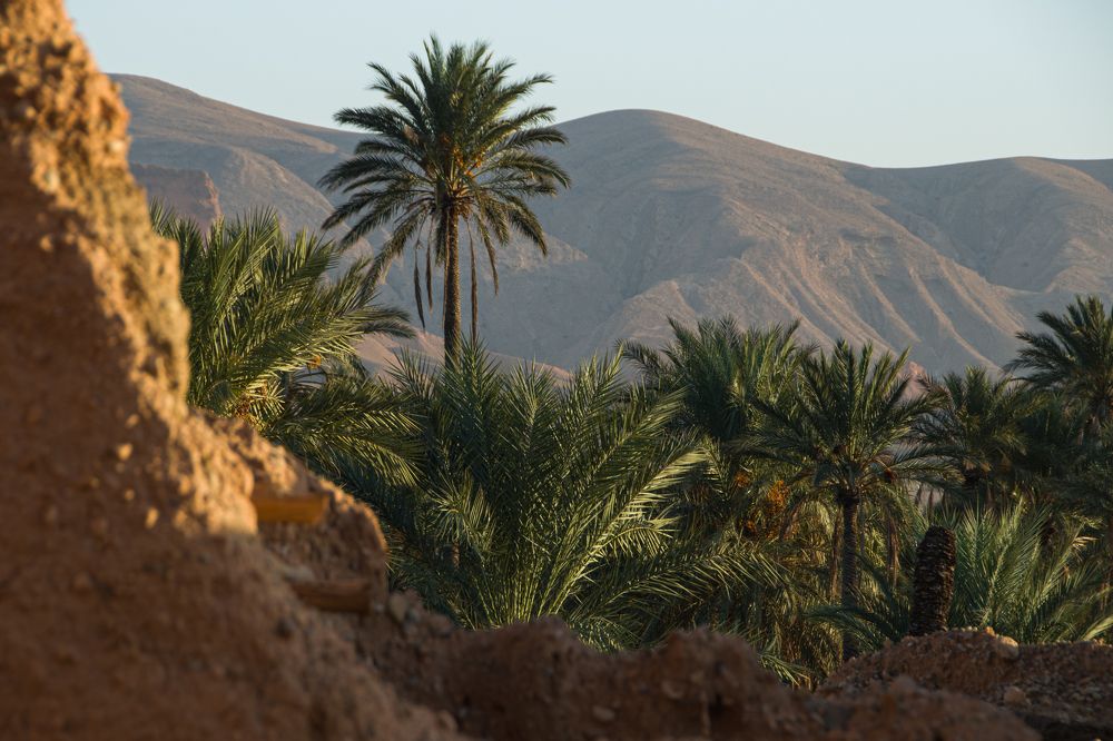 Photograph by Hakim Soualmia