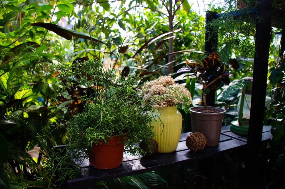 Photograph by Наталья Веряскина