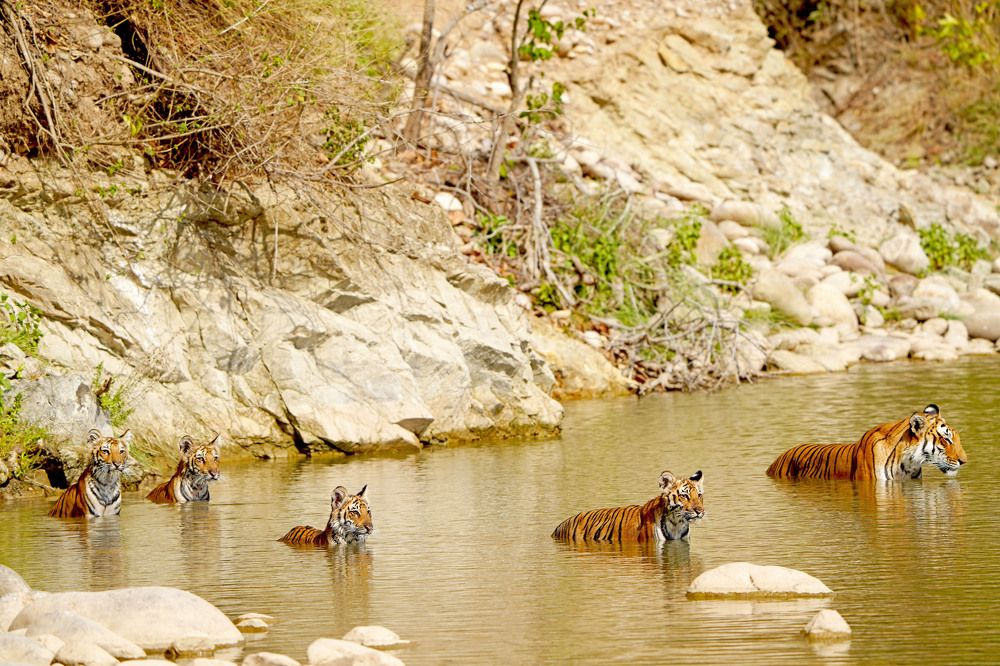 Photograph by Nirmalya Chakraborty