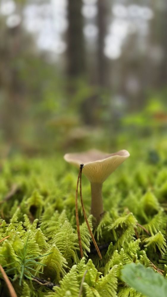 Photograph by Ольга Фомина