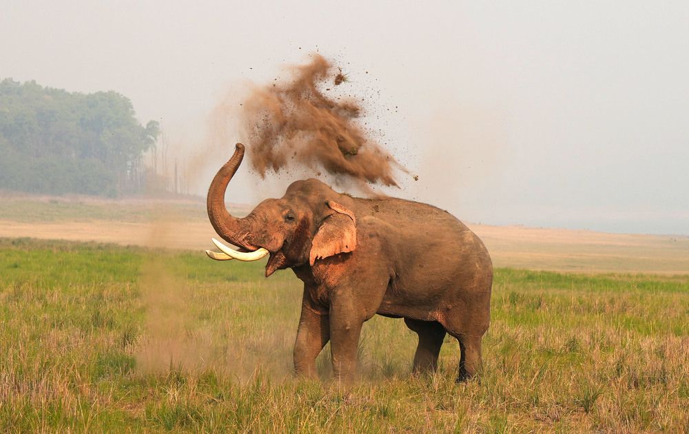 Photograph by Nirmalya Chakraborty