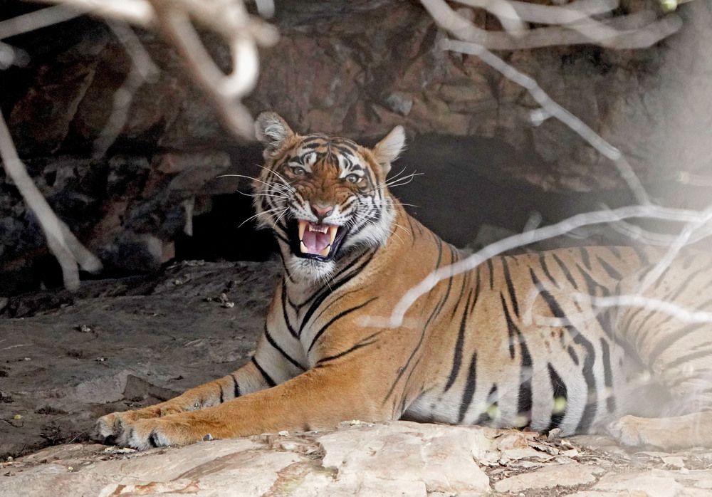 Photograph by Nirmalya Chakraborty