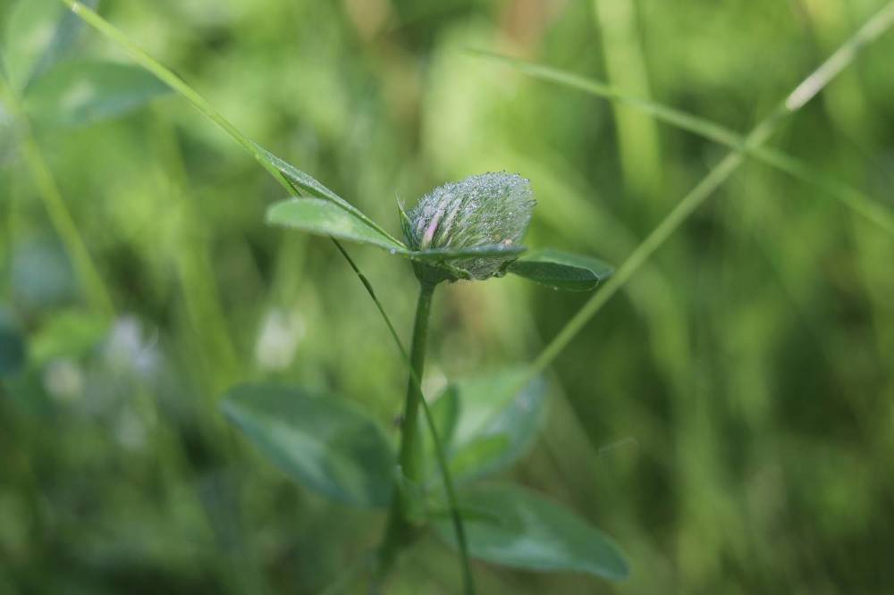 Photograph by Родосская Нонна