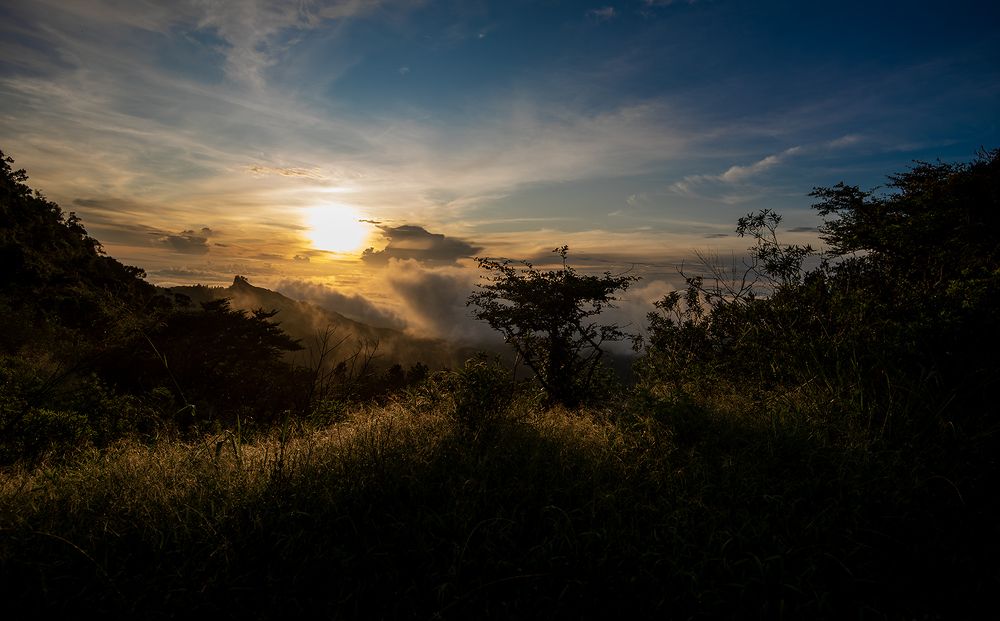 Photograph by SAMAN HALLOLUWA