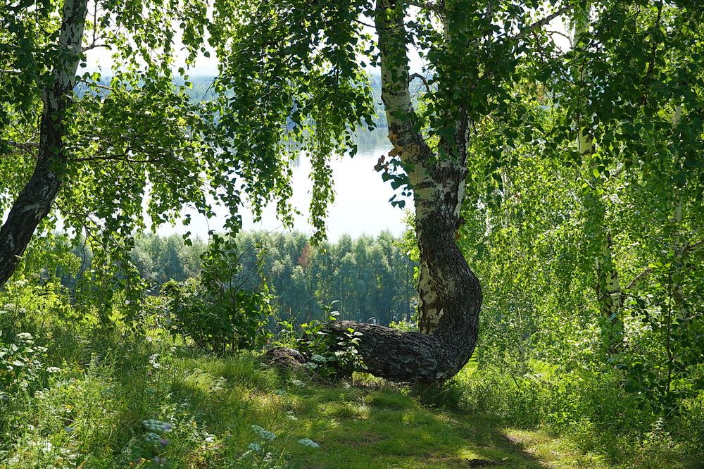 Photograph by Галина Кан