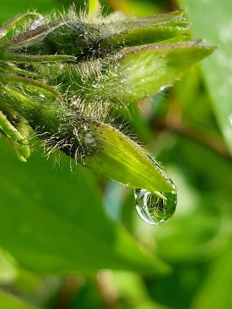 Photograph by Наталья Дубовкина