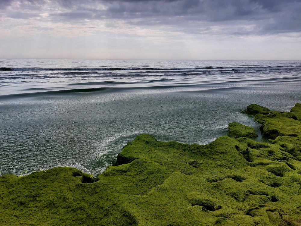 Photograph by Наталья Дубовкина