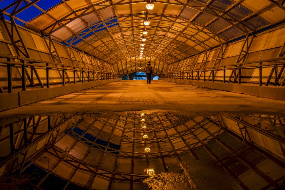 Фотография автора Дмитрий Кетов