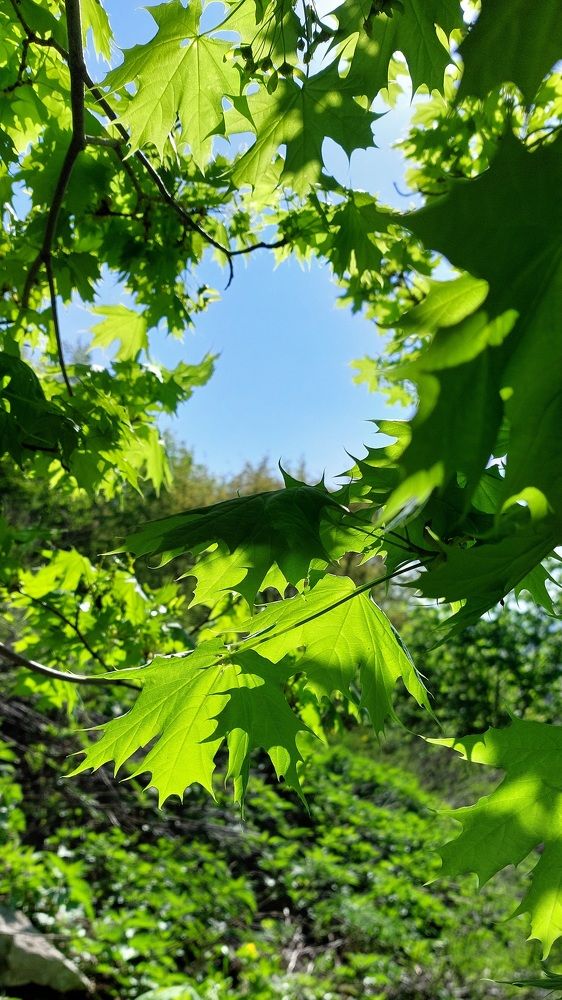 Photograph by Наталья Дубовкина