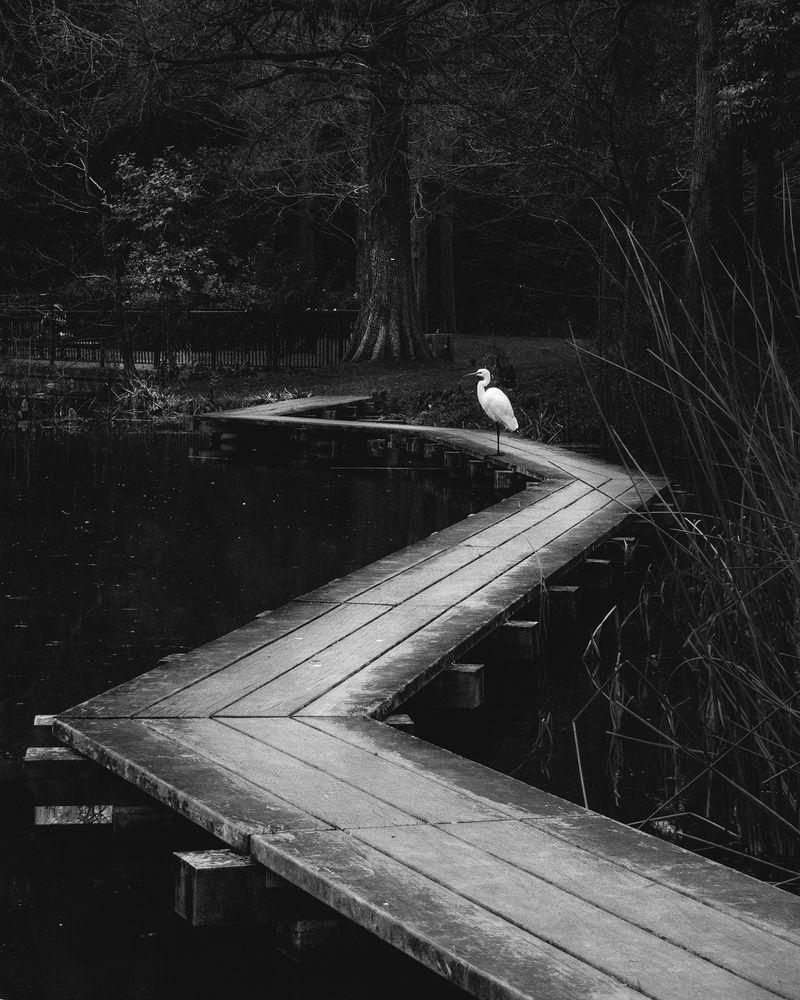 Photograph by Manaska Mukhopadhyay