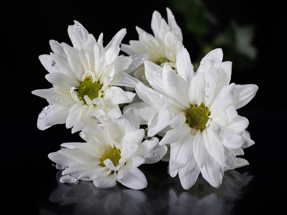 Photograph by Margoth Toro