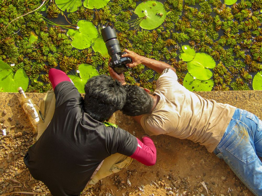 Photograph by Yogarajah Jathumilan