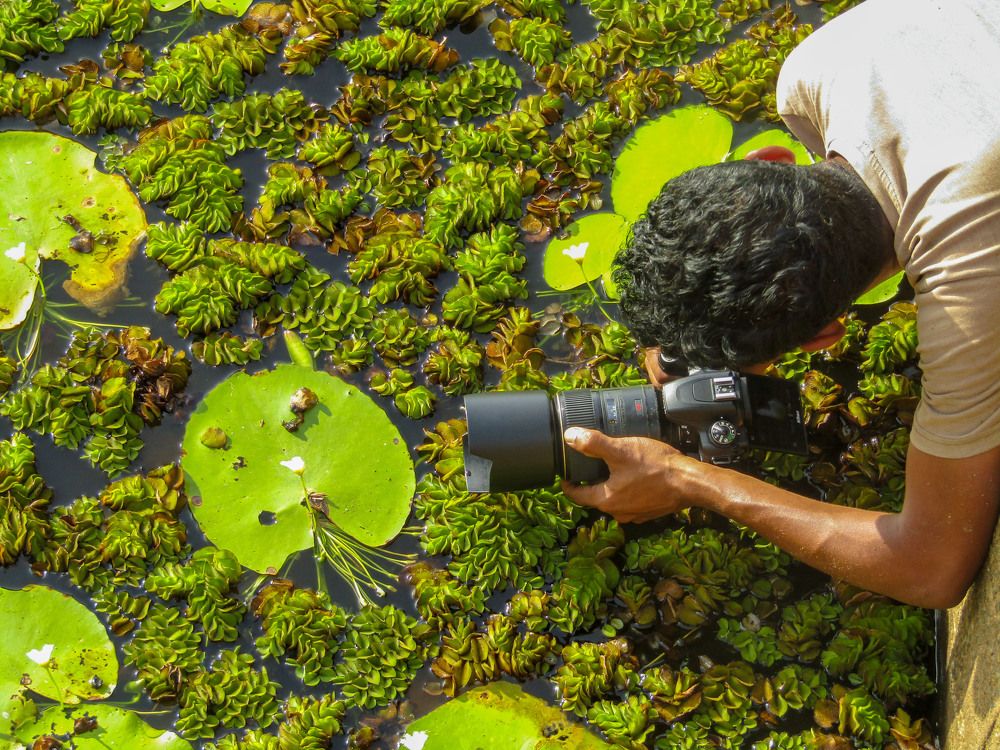 Photograph by Yogarajah Jathumilan