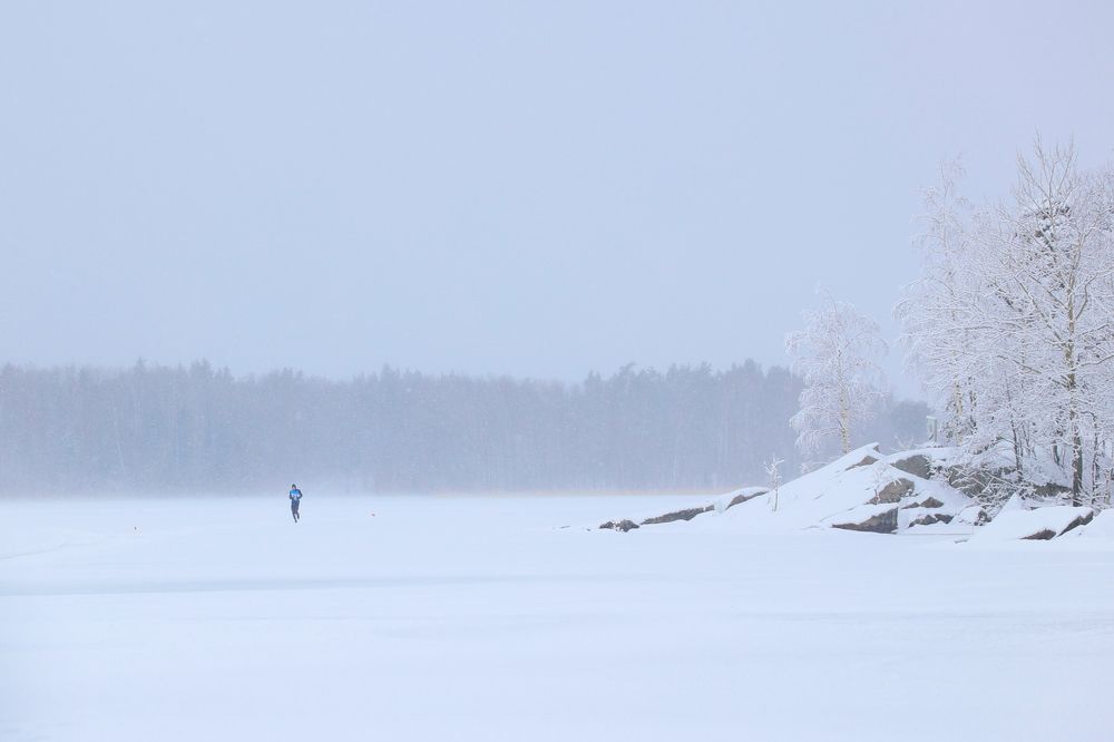 Фотография автора Юлия Свирская