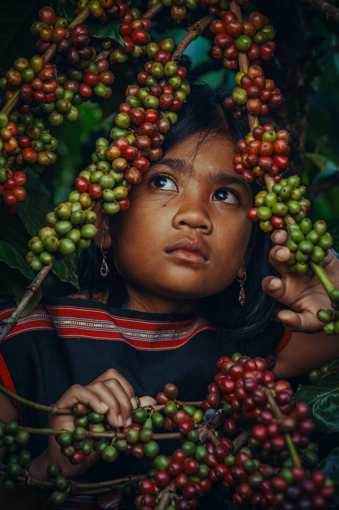 Photograph by Vu Khoa Nguyen Khanh