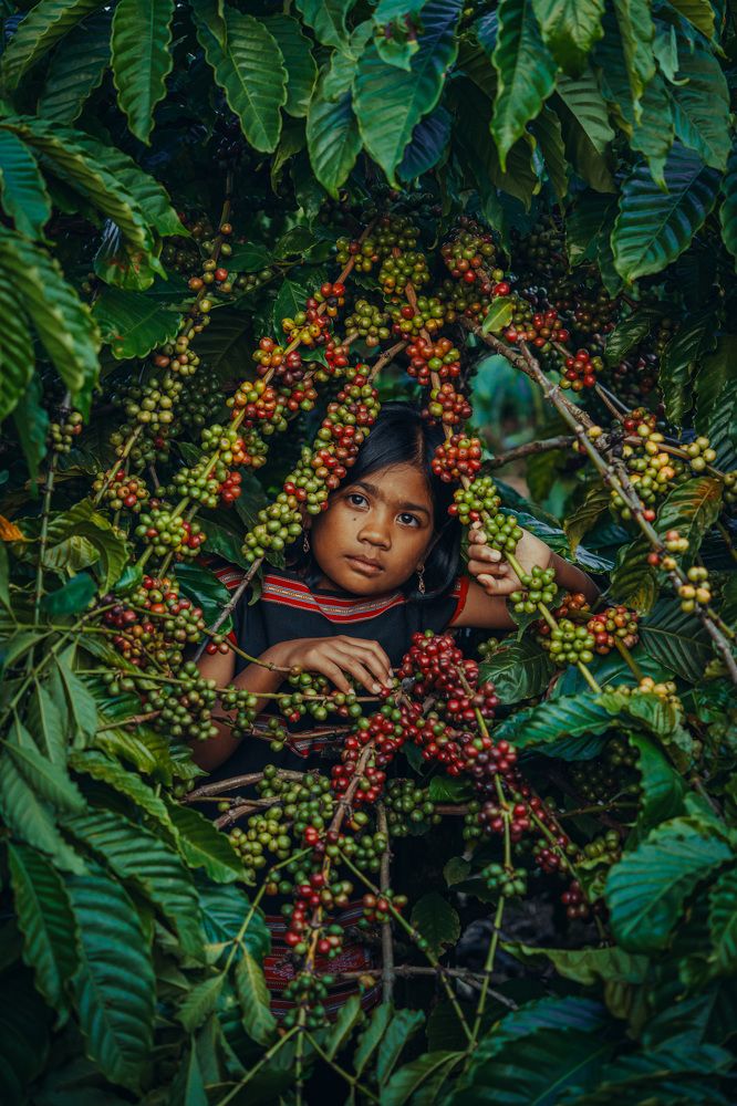 Photograph by Vu Khoa Nguyen Khanh