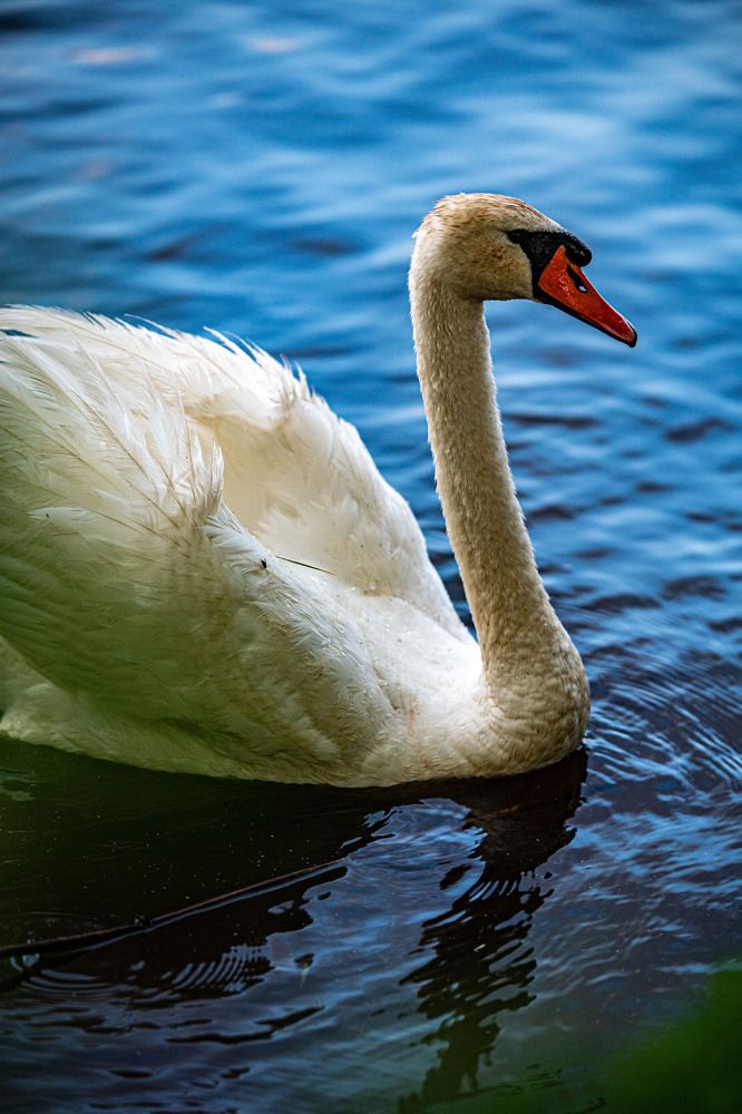 Photograph by Крупченко Роман