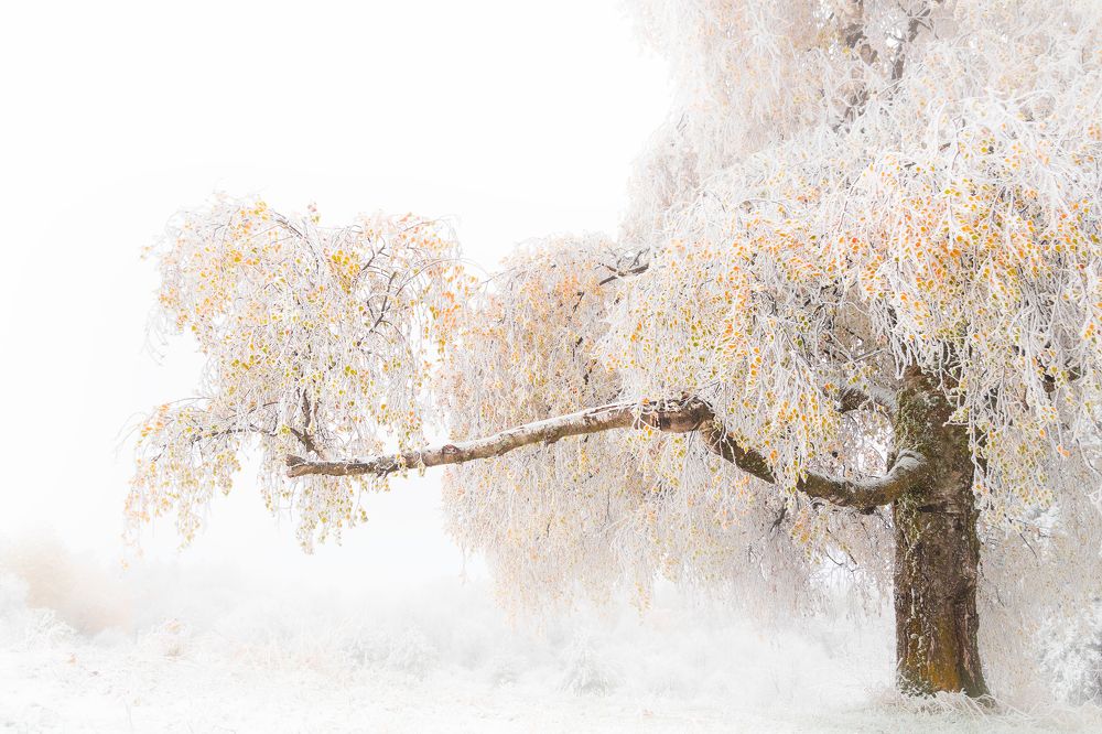 Photograph by Vania Tonova