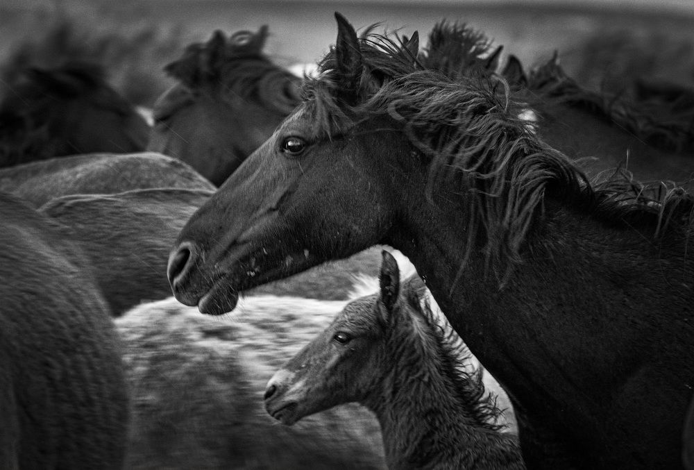 Photograph by Ozlem Ozyun