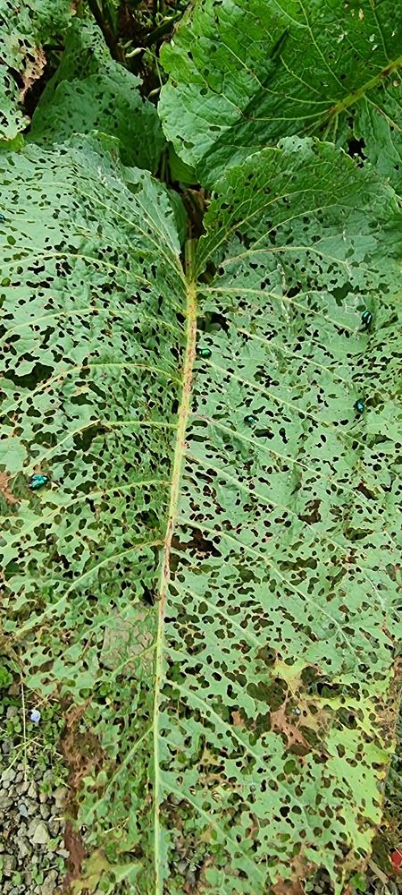 Photograph by Elena Ovsannikova