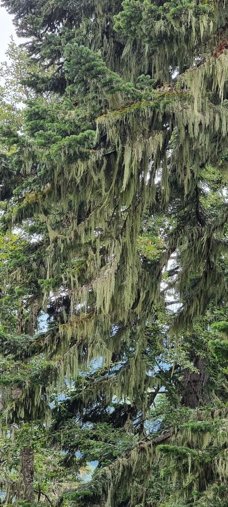 Photograph by Elena Ovsannikova