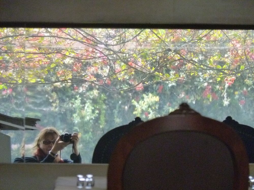 Photograph by SILVIA CLELIA AGOSTINIS