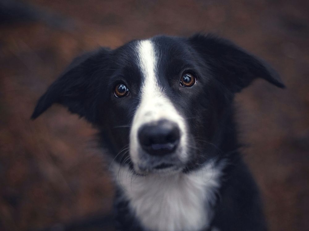 Photograph by Татьяна