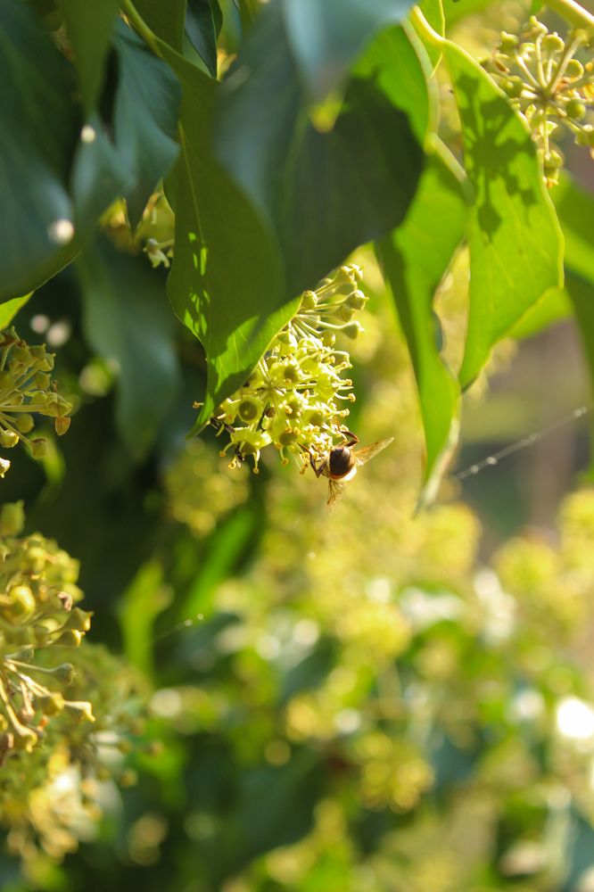 Photograph by Ирина Дмитриенко