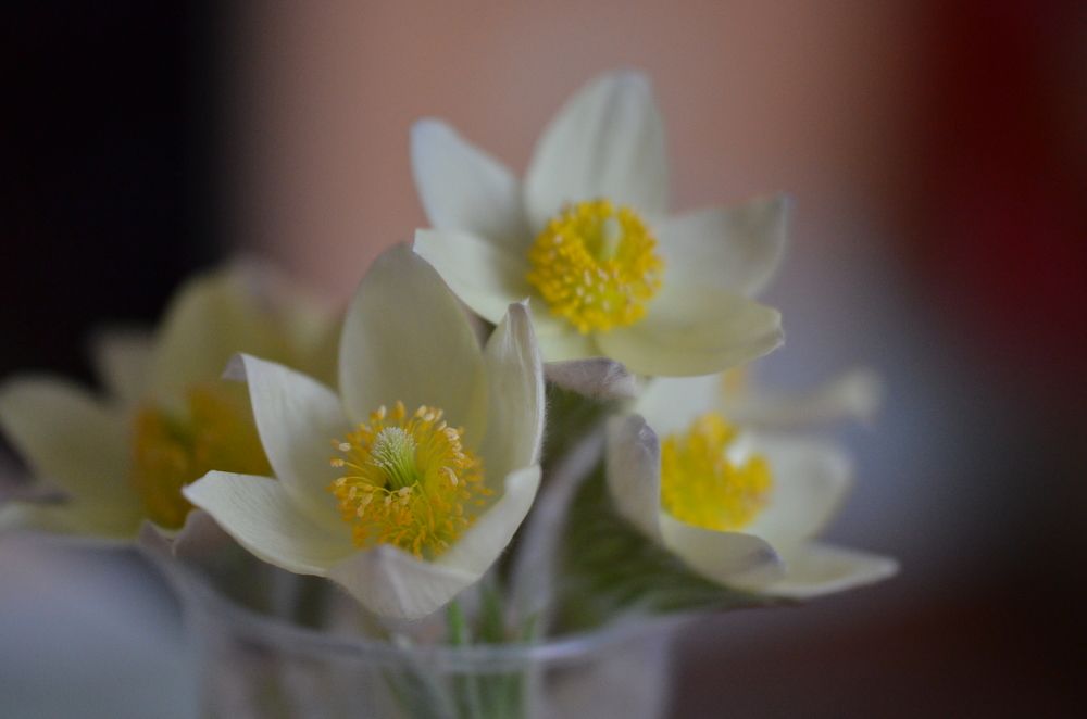 Photograph by Людмила Воропаева